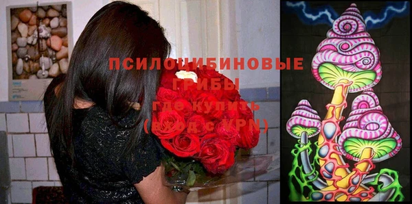 MESCALINE Заволжье