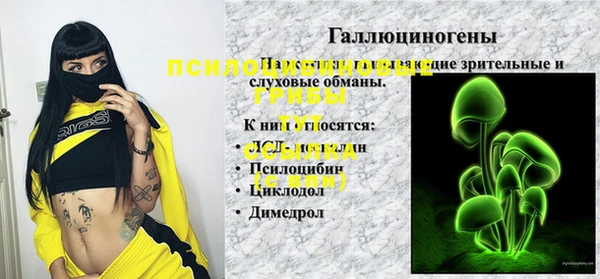 a pvp Заволжск